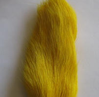 ��� ����� ������ / deer belly yellow